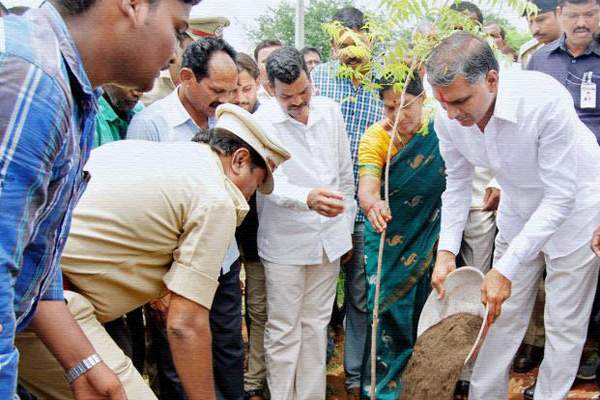 Harish Rao, Harish Rao Nalla Vagu Haritha Haram, Minister Harish Rao Nalla Vagu Haritha Haram, Telangana Minister Harish Rao Nalla Vagu Haritha Haram, Irrigation Minister Harish Rao Nalla Vagu Haritha Haram