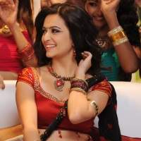 Kriti Kharbanda, Kriti Kharbanda Sumanth Affair, Kriti Kharbanda Akkineni Sumanth Affair, Kriti Kharbanda Sumanth Dating Rumor, Kriti Kharbanda Sumanth Love Affair Gossips