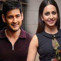 Mahesh Rakul Preet, Mahesh Rakul Preet Murugadoss Movie, Mahesh Babu Rakul Preet Singh Movie, Mahesh Rakul Preet Rumours, Mahesh Rakul Preet Heroine