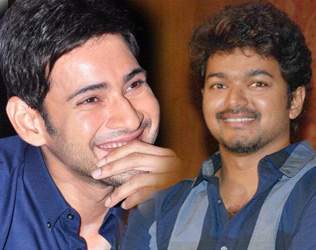 Mahesh Babu, Mahesh Babu Vijay Movie, Mahesh Babu Vijay Multi Starrer Movie, Mahesh Babu Vijay Multi Starrer Gossip, Mahesh Babu Tamil hero Vijay