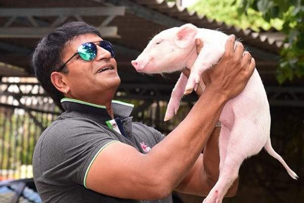 Ravi Babu, Ravi Babu Pig Movie Highlights, Ravi Babu Pig Movie Updates, Ravi Babu Pig Movie News, Ravi Babu interview Pig Movie 