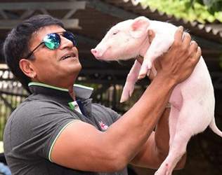 Ravi Babu, Ravi Babu Pig Movie Highlights, Ravi Babu Pig Movie Updates, Ravi Babu Pig Movie News, Ravi Babu interview Pig Movie