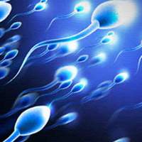 Delhi AIIMS, Delhi AIIMS Rejects Woman Plea, Delhi AIIMS Rejects Sperm Store, Woman requests Delhi AIIMS Sperm Store, Widow requests Delhi AIIMS Stor Husband Sperm