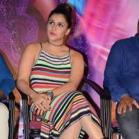 Sunil Jakkanna Movie Platinum Disc Function Photos, Sunil Jakkanna Movie Platinum Disc Function Stills, Sunil Jakkanna Movie Platinum Disc Event