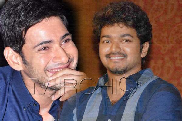Mahesh Babu, Mahesh Babu Vijay Movie, Mahesh Babu Vijay Multi Starrer Movie, Mahesh Babu Vijay Multi Starrer Gossip, Mahesh Babu Tamil hero Vijay  