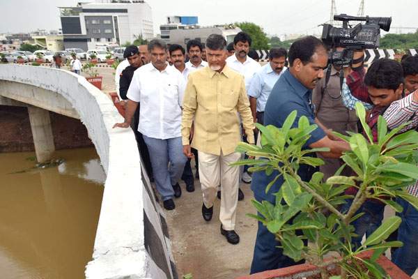 Brand New Vijayawada, Brand New Vijayawada City, Vijayawada Beautification Look, Vijayawada Beautification Roads, Vijayawada Beautification Trees
