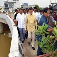 Brand New Vijayawada, Brand New Vijayawada City, Vijayawada Beautification Look, Vijayawada Beautification Roads, Vijayawada Beautification Trees