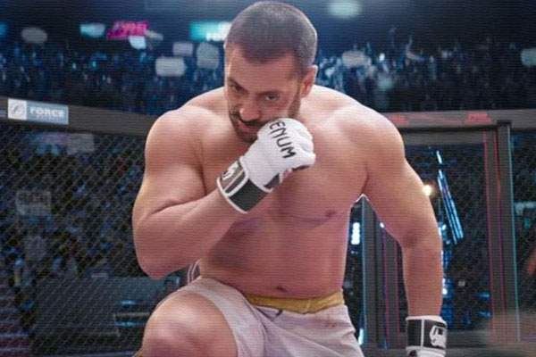 Sultan, Sultan Pakistan Collections, Sultan Pakistan Records, Sultan Movie Pakistan Collections, Sultan Pakistan Box Office Collections 