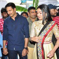 Gopichand and Sampath Nandi Movie Launch, Gopichand and Sampath Nandi Movie Launch Photos, Gopichand and Sampath Nandi Movie Launch Stills, Gopichand and Catherine Tresa Nandi Movie Launch