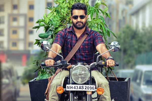Janatha Garage Challenge, Janatha Garage Challenge NTR Fans Plant Trees, Janatha Garage Challenge Twitter NTR Fans, Janatha Garage Challenge Free Publicity, Janatha Garage Challenge Movie Promotion