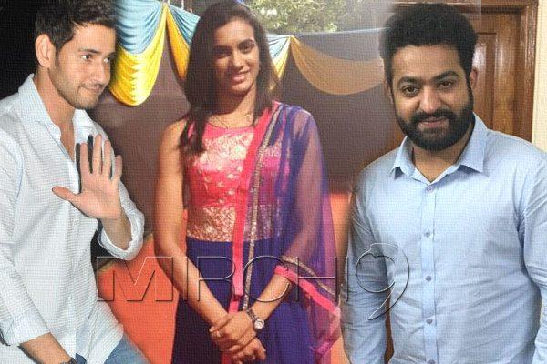 PV Sindhu, Mahesh Babu Spoke Phone Call PV Sindhu, Jr NTR Spoke Phone Call PV Sindhu, Mahesh NTR Spoke PV Sindhu Phone Call 