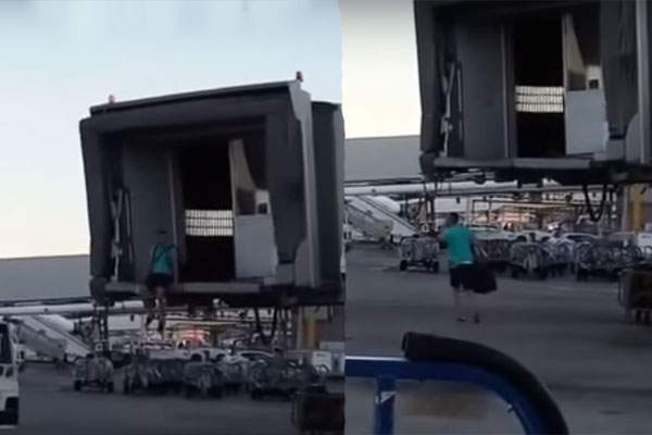 Man Chases Flight, Man Chases Flight Video Goes Viral, Man Chases Flight Goes Viral Web, Man Chases Flight Viral Social Media