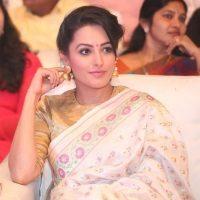 Manalo Okkadu Audio Launch Stills