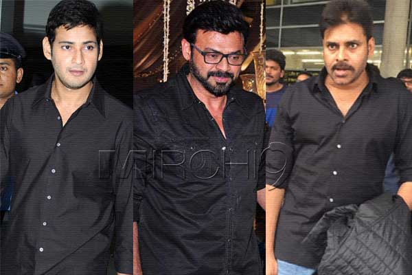 Mahesh Babu, Mahesh Babu Cameo Venkatesh Saala Khadoos, Mahesh Babu Cameo Venkatesh Saala Khadoos Movie, Mahesh Babu Cameo Victory Venkatesh Saala Khadoos, Mahesh Babu Guest Role Venkatesh Saala Khadoos, Mahesh Babu Guest Appearance Venkatesh Saala Khadoos,