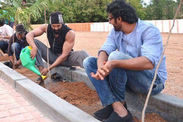 Prabhas, Prabhas Rejects Fitness Ad, Prabhas Rejects Fitness Commercial, Prabhas Rejects 5.5 Crore Ad Fitness Ad Endorsement Offer 