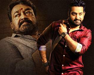 Manamantha Movie Effect Janatha Garage,Manamantha Hit Effect Janatha Garage,Manamantha Flop Effect Janatha Garage,Mohan Lal Manamantha Effect Janatha Garage