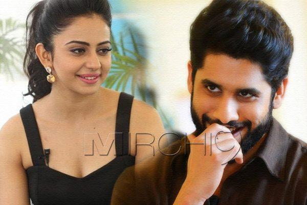 Rakul Preet , Rakul Preet Naga Chaitanya Movie, Rakul Preet Akkineni Naga Chaitanya Movie, Rakul Preet Singh Naga Chaitanya Movie, Rakul Preet Chai Akkineni Movie, Director Kalyan Krishna Rakul Preet Movie, Director Kalyan Krishna Rakul Preet Naga Chaitanya Movie,