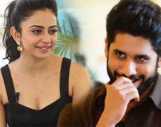 Rakul Preet , Rakul Preet Naga Chaitanya Movie, Rakul Preet Akkineni Naga Chaitanya Movie, Rakul Preet Singh Naga Chaitanya Movie, Rakul Preet Chai Akkineni Movie, Director Kalyan Krishna Rakul Preet Movie, Director Kalyan Krishna Rakul Preet Naga Chaitanya Movie,