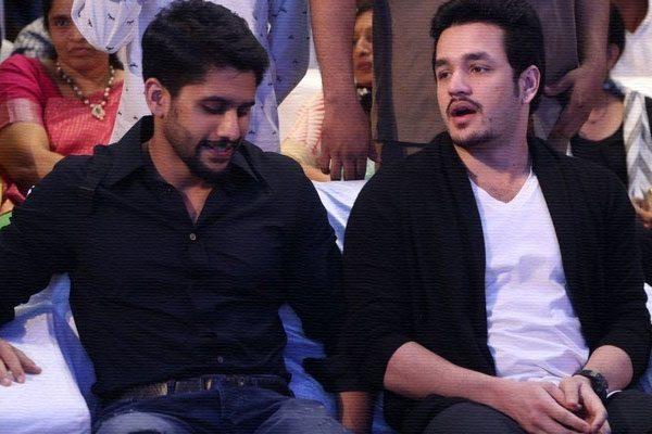 akhil-naga-chaitanya-love