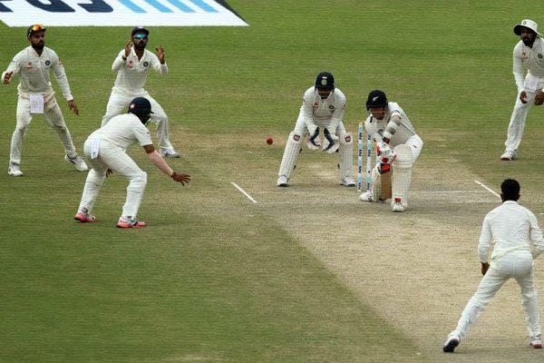 india-vs-new-zealand