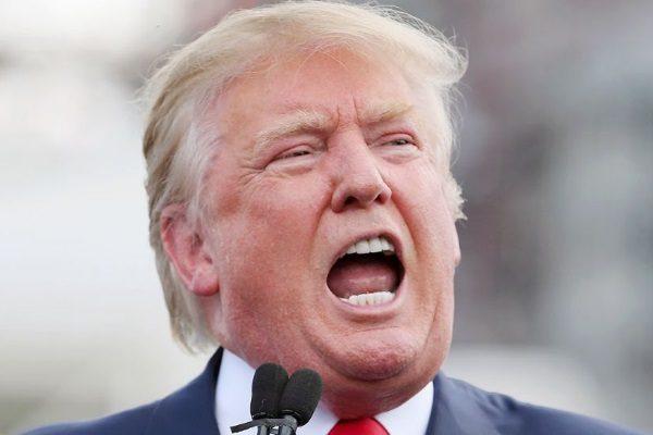 donald-trump-offer-adult-star