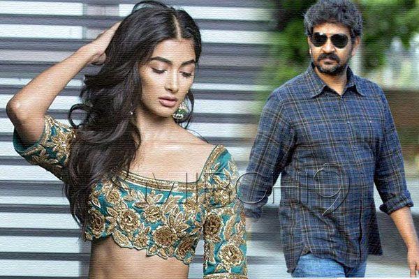 Pooja Hegde, Pooja Hegde Magadheera Remake, Pooja Hegde Ram Charan Magadheera Remake, Pooja Hegde Rajamouli Magadheera Remake, Pooja Hegde Magadheera Bollywood Remake, Pooja Hegde Magadheera Hindi Remake