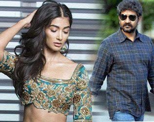 Pooja Hegde, Pooja Hegde Magadheera Remake, Pooja Hegde Ram Charan Magadheera Remake, Pooja Hegde Rajamouli Magadheera Remake, Pooja Hegde Magadheera Bollywood Remake, Pooja Hegde Magadheera Hindi Remake
