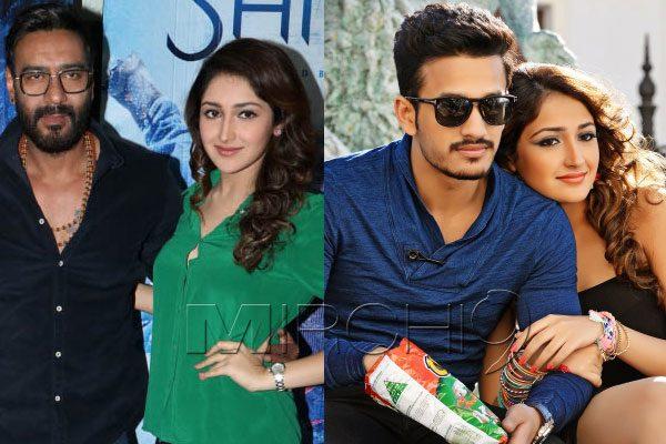 sayesha-saigal-bollywood-tollywood-debut-flops-disasters