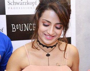 Trisha Krishnan Wants to do Chief Minister Role