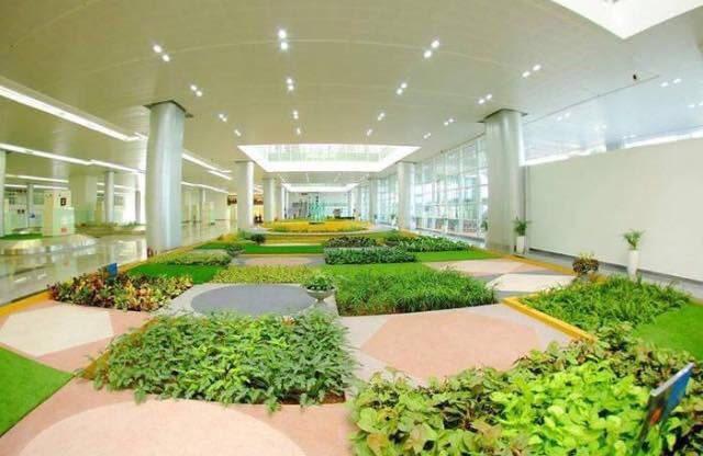 vadodara-gujarat-green-airport-photos-images-pics-4