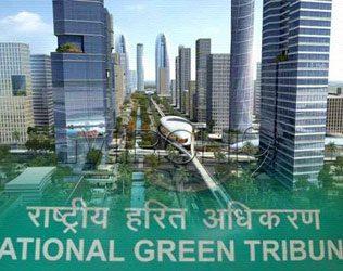 AP National Green Tribunal, Chandrababu National Green Tribunal, Chandrababu Naidu National Green Tribunal Case, National Green Tribunal Amaravati Case