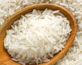protein-rich-rice-developed-igkv Indira Gandhi Agricultural University