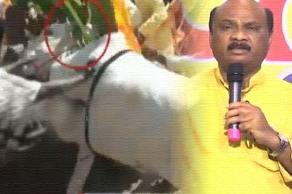 Ayyanna Patrudu Escaped Accident Jana Chaitanya Yatra Ox Cart Mishap