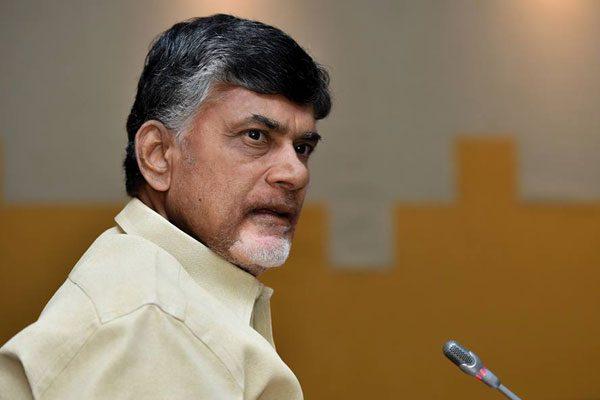 election-survey-tdp-clean-sweep-2019