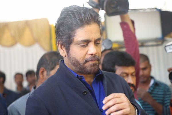 nagarjunas-calculative-risk-yield-another-50-cr-raju-gari-gadhi-2