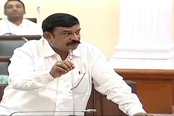 BJP MLA Vishnu Kumar Raju Penmetsa - Bikini Party