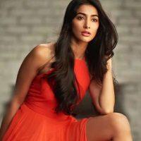 Pooja Hegde Being Made Fun of Big Time for Best Debut Award Bollywood