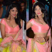 Roshini Prakash Hot Photos Saptagiri Express Audio Launch Function Stills