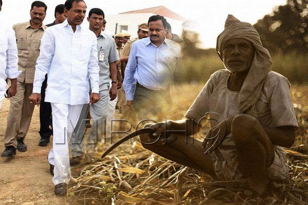 No Respite for Telangana Farmers