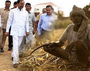 No Respite for Telangana Farmers