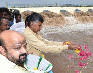 No Share for Telangana in Pattiseema Waters