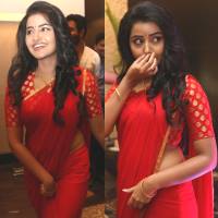 Anupama Parameswaran Hot Saree Photos at Shatamanam Bhavati Success Meet Event