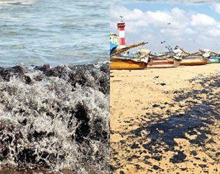 Chennai Marina beach Cargo Ship Pollutes Shore