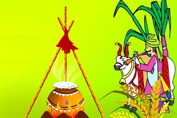 Happy-Sankranthi