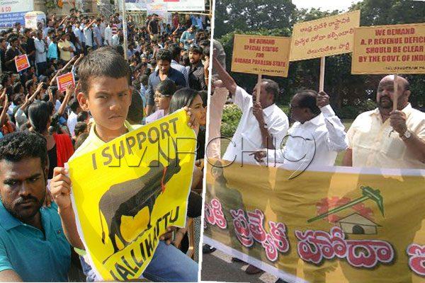 Jallikattu-Movements-There-Are-Lessons-for-Everyone-in-AP