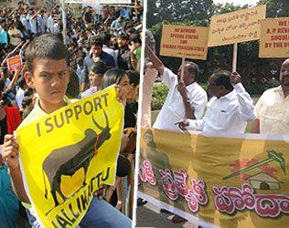 Jallikattu-Movements-There-Are-Lessons-for-Everyone-in-India
