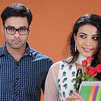 Natudu Movie Stills and Posters