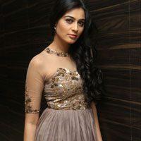 Neha Hinge Latest Photos -Sri Valli Audio Launch