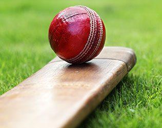 World Cricket-records
