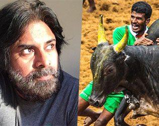 Pawan Kalyan's Confusing Stance on Jallikattu?